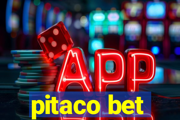 pitaco bet